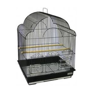 Avi One Bird Cage Fancy Top