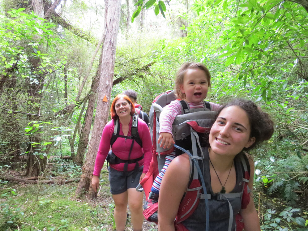 Baby toddler hiking pinchgut hut new zealand