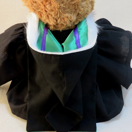 Bachelor of Midwifery Roly Bear with Hood