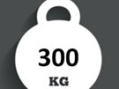 Ballast Weight 300kg INTERBLOC