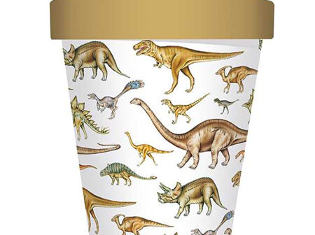 Bamboo Travel Mug - Dinosaurs - Museums & Galleries