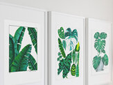 "Banana Leaves" Prints and Greeting cards