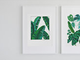 "Banana Leaves" Prints and Greeting cards