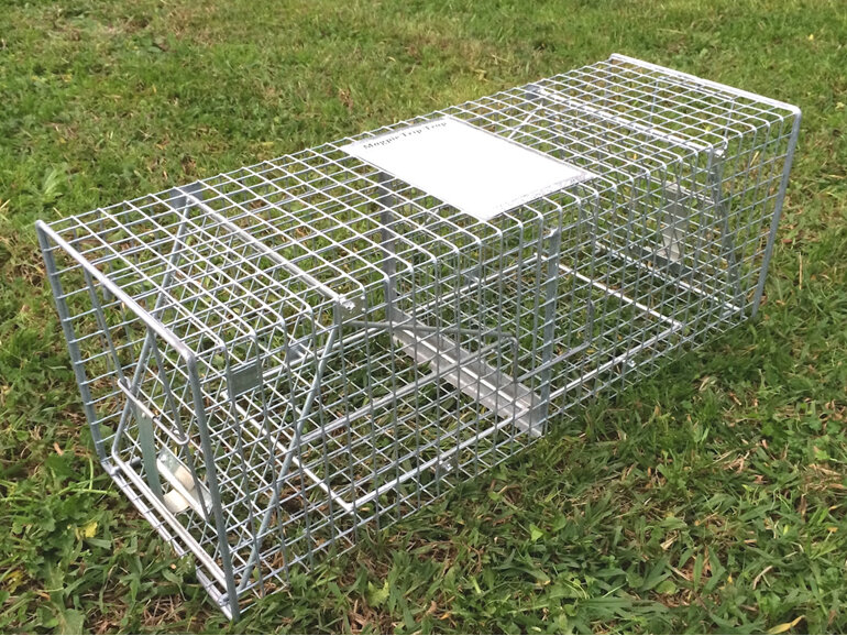 Basic version Magpie Trip Trap for small birds