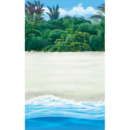 Beach backdrop - room roll - 12 m long!