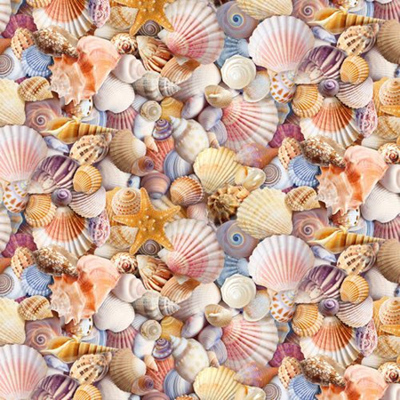 Beach Day Packed Beach Shells Multi C8460-multi