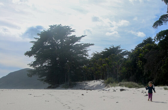 beach kahurangi national park