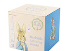 Beatrix Potter Peter Rabbit Stackable Learning Blocks