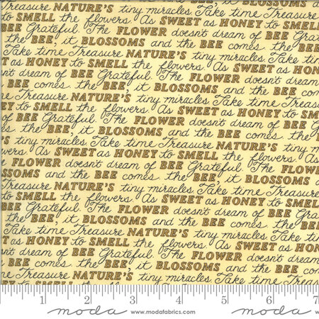 Bee Grateful Honey Yellow Sweet Words 19963-12