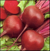 Beetroot for home winemaking