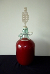 Berry and plum wine during fermentation