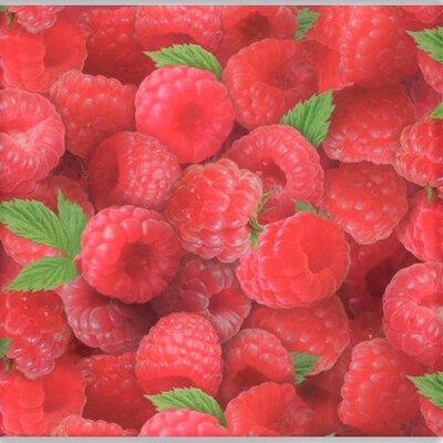 Berry Good - Raspberries 154