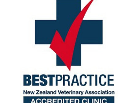 BESTPRACTICE Accreditation