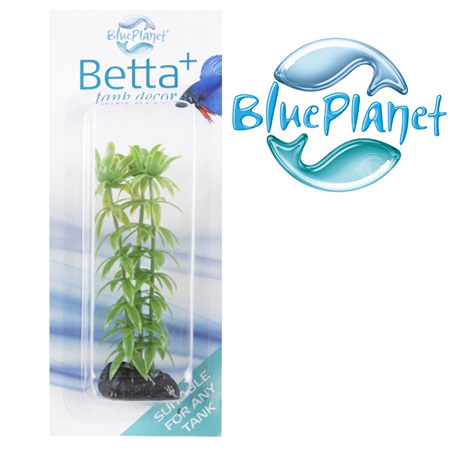 Betta+ Plant - Green (Discontinued)