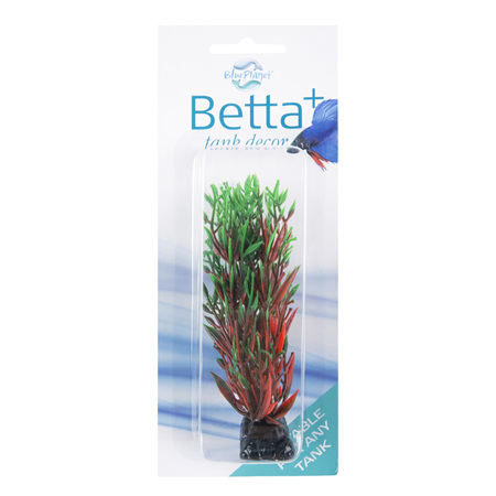 Betta+ Plant - Red/Green (Discontinued)