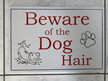 Beware of the Dog Hair