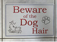 Beware of the Dog Hair