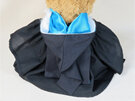 Biomedical Science Roly Bear with Hood