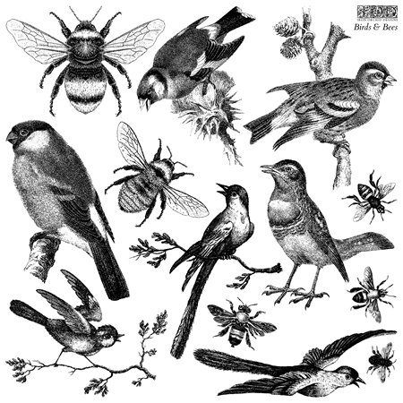 Birds and Bees IOD Decor Stamp