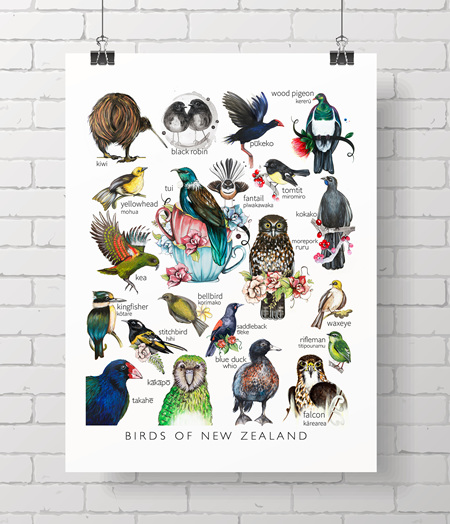 birds of NZ - the Love Lis collection