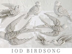 Birdsong IOD Decor Mould