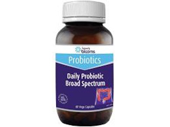 BL Adult's Daily Probiotic 60 Cap