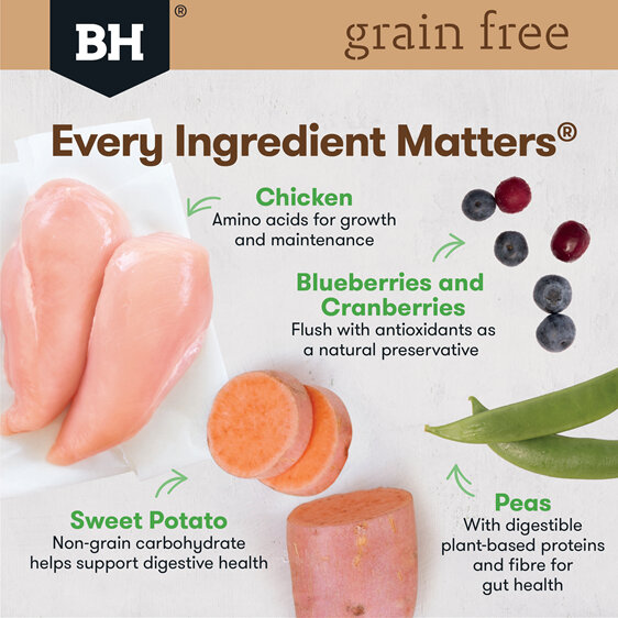 Black Hawk Dog Grain Free Chicken