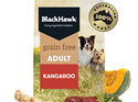 Black Hawk Dog Grain Free Kangaroo