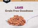 Black Hawk Dog Grain Free Lamb 100gm