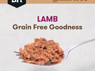 Black Hawk Dog Grain Free Lamb 100gm