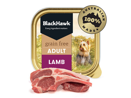 Black Hawk Dog Grain Free Lamb 100gm