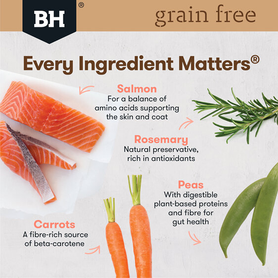 Black Hawk Grain Free Salmon