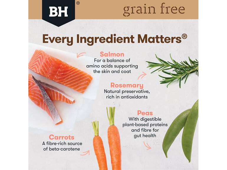 Black Hawk Grain Free Salmon