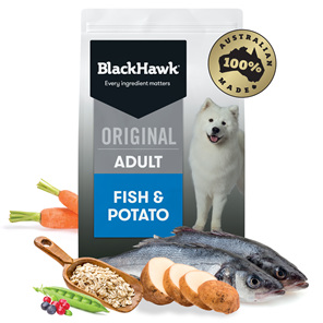 Black Hawk Original Adult Fish & Potato