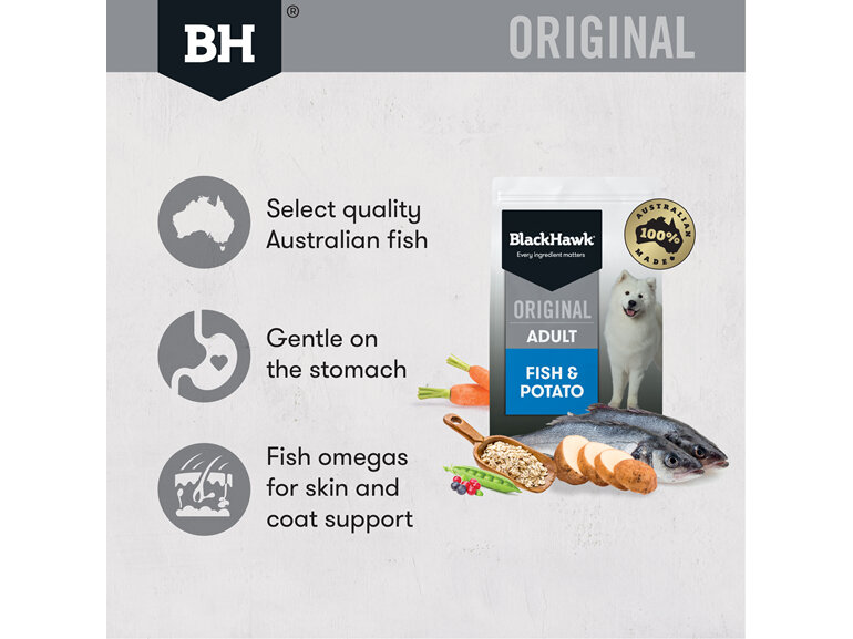 Black Hawk Original Adult Fish & Potato