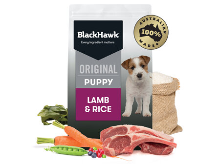 Black Hawk Original Puppy Lamb & Rice