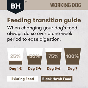 Black Hawk Working Dog Lamb & Beef 20kg