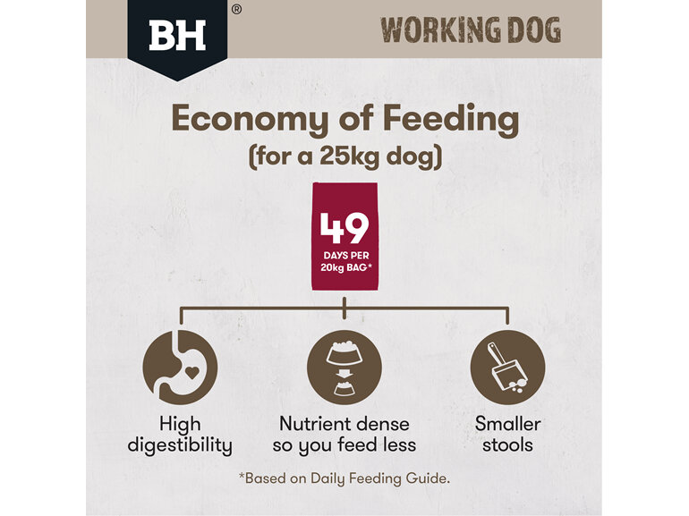 Black Hawk Working Dog Lamb & Beef 20kg