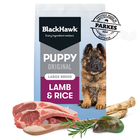 Blackhawk Original - Puppy Large Breed Lamb