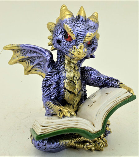 Blue Dragon Reading Book