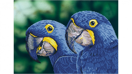 Blue Hyacinth Macaws - Diamond Dotz - Intermediate Kit