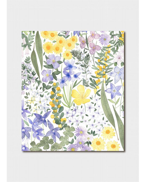 Blue Island Press - Goldfields Wildflowers Card watercolour  natalie ryan