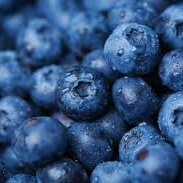 Blueberries Organic OOB or Sprayfree Local Fresh & Frozen