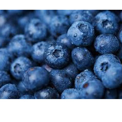 Blueberries Organic OOB or Sprayfree Local Fresh & Frozen