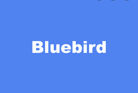 Bluebird Jigsaw Puzzles