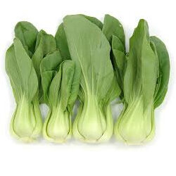 Bok Choy/Pak Choy Organic - Bunches