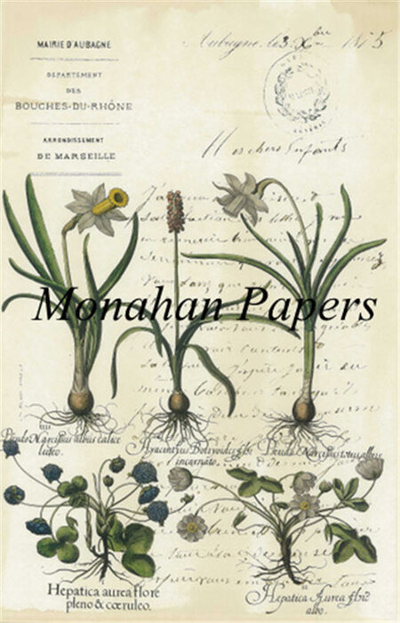 Botanical 30 Decor Paper