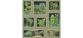 Botany Squares