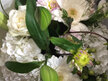 Bouquets and posies- Hydrangea included