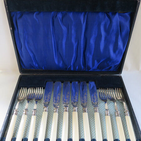 Boxed fish set for 6